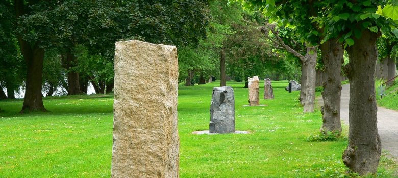 geologischer Rheinlauf.jpg