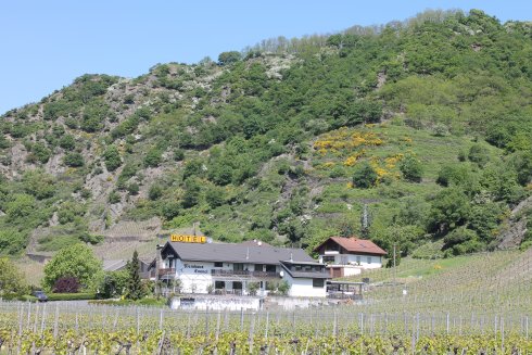 Hotel Weingut Emmel.JPG