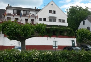WeintraubenaufTisch.jpg