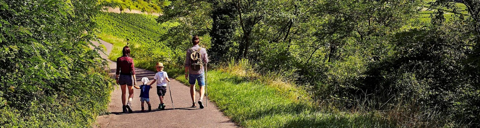 Wanderer in den Weinbergen
