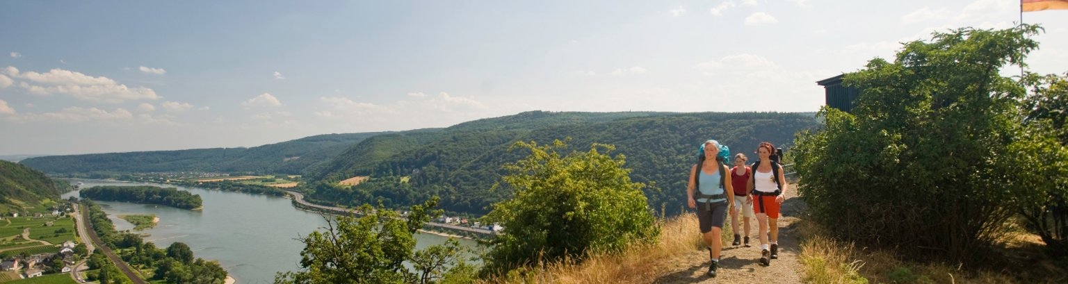Rheinsteig Sommershooting 2008 Wanderer Ausblick Leutesdorf auf Andernach.jpg
