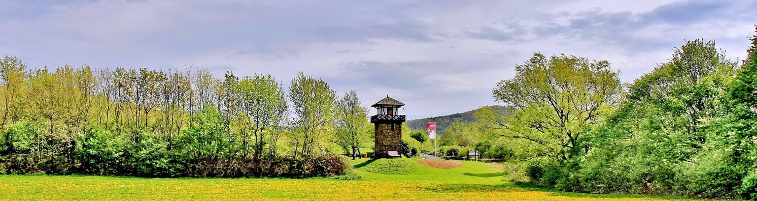 Wanderer Ausblick Leutesdorf auf Andernach.jpg